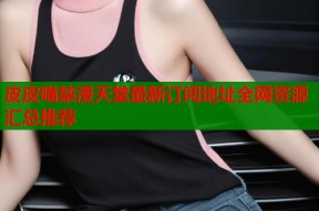 皮皮喵禁漫天堂最新订阅地址全网资源汇总推荐